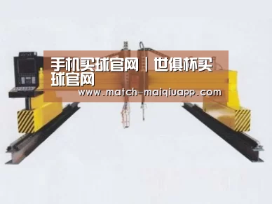 产品名称十九