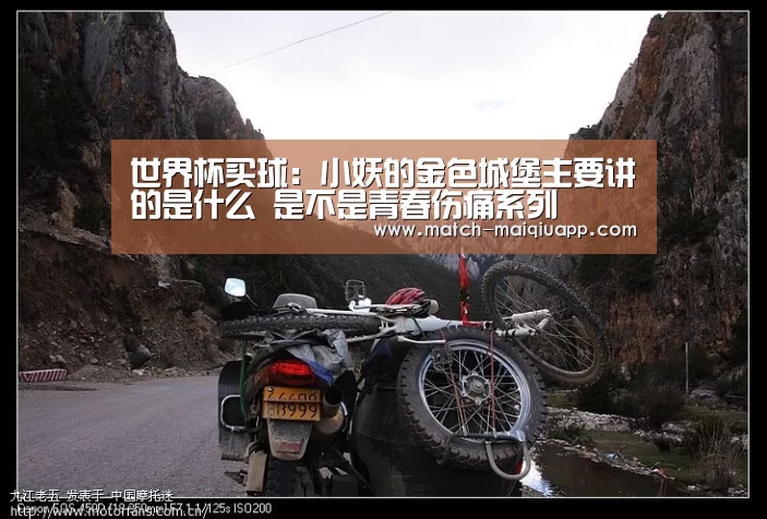 世界杯买球：小妖的金色城堡主要讲的是什么