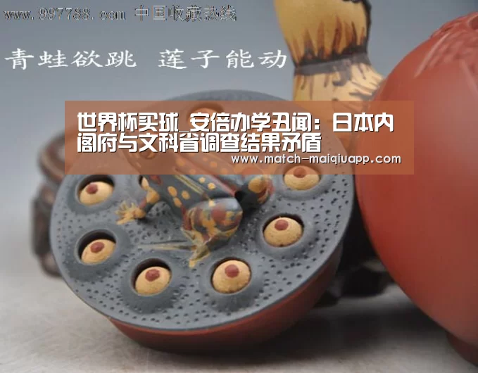 世界杯买球_安倍办学丑闻:日本内阁府与文科省调查结果矛盾(图2) 手机买球官网