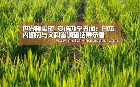 世界杯买球_安倍办学丑闻:日本内阁府与文科省调查结果矛盾(图3) 世界杯买球