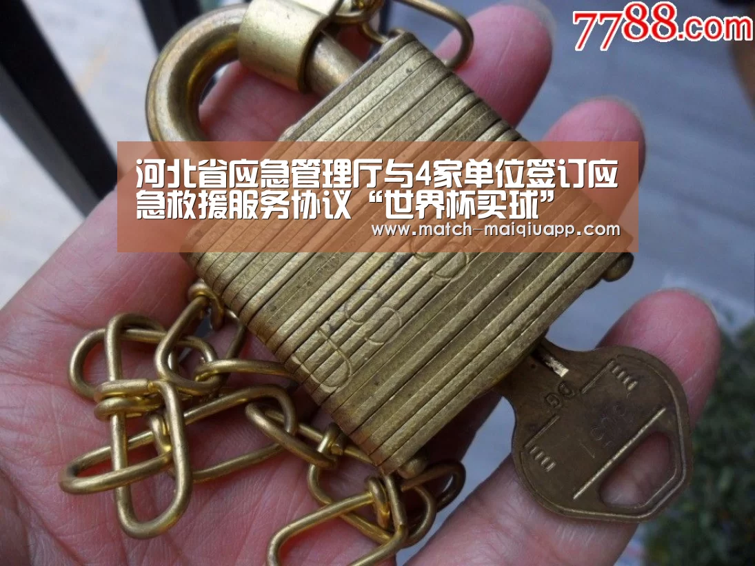 河北省应急管理厅与4家单位签订应急救援服务协议“世界杯买球”(图2) 世界杯买球